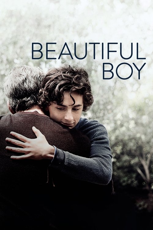 Beautiful Boy (2018)  แด่ลูกชายสุดที่รัก