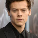 แฮร์รี่ สไตล์ส (Harry Styles)