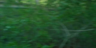 ตอนที่ 6