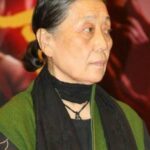 จิน ซู่หยวน (Jin Shuyuan)