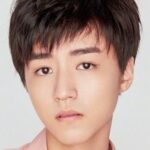 คาร์รี่ หว่อง (Karry Wang)