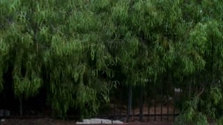 ตอนที่ 5