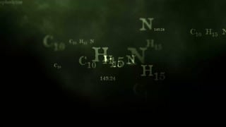 ตอนที่ 11