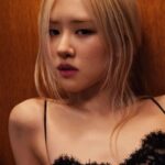 ดอกกุหลาบ (ROSÉ)