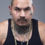 แผลเป็น (Scar)