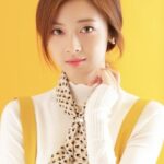 เชาหยุน (Shao Yun)