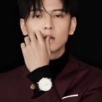 เฉิน จุนซี (Chen Junxi)