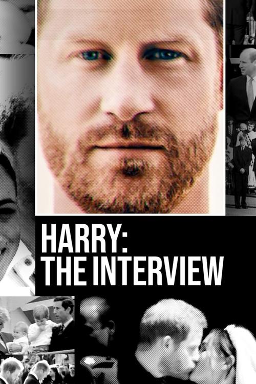 Harry The Interview (2023) บรรยายไทย