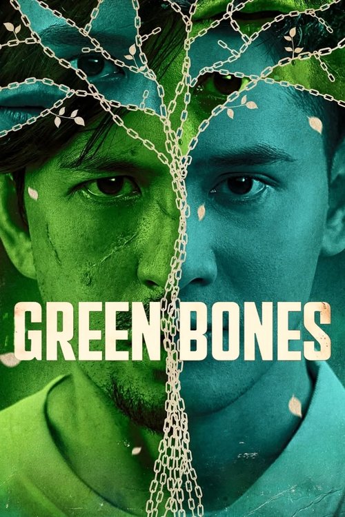Green Bones ภารกิจยุติธรรม (2024) บรรยายไทย