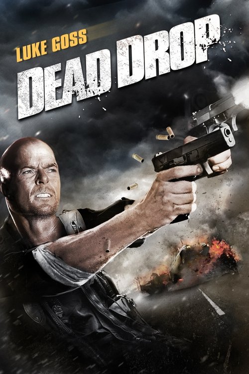 Dead Drop ดิ่งเวหาล่าทวงแค้น 2013