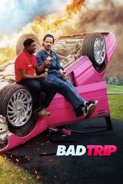 Bad Trip ทริปป่วนคู่อำ (2020) NETFLIX