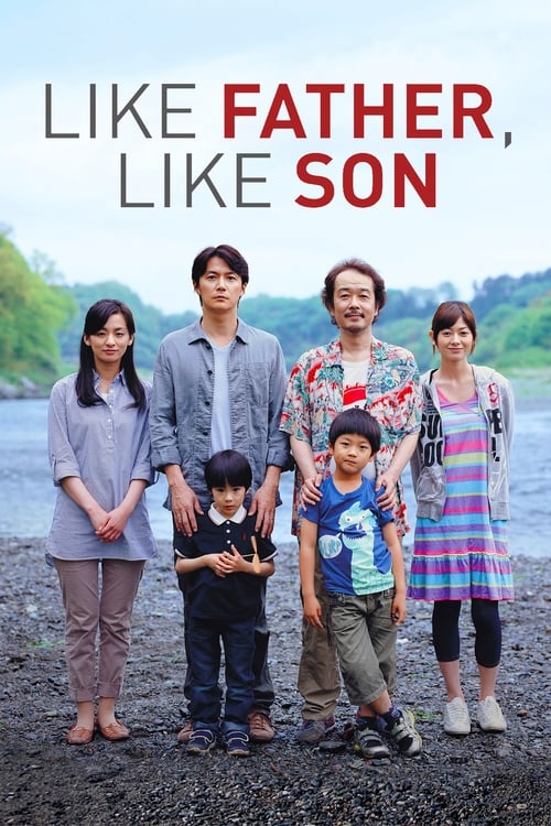 Like Father Like Son พ่อจ๋า รักผมได้ไหม (2013)
