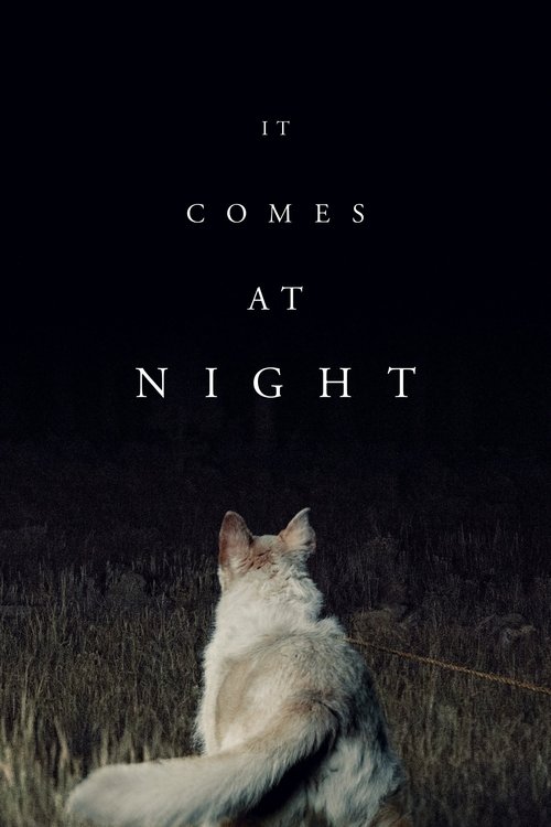 It Comes at Night (2017) บรรยายไทย