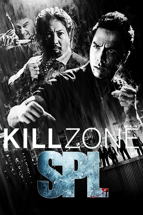 SPL Kill Zone (Saat po long) ทีมล่าเฉียดนรก (2005)