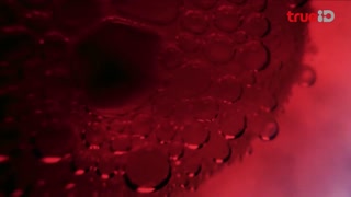 ตอนที่ 3