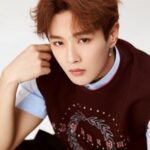 หลี่ เหวินฮั่น (Li Wenhan)