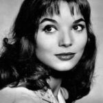 เอลซ่า มาร์ตินเนลลี (Elsa Martinelli)