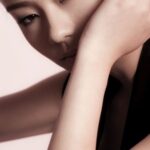 หวัง ตันยี่ หลี่ (Wang Danyi Li)