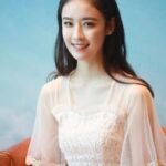 หยาง ฉีหรู (Yang Qiru)