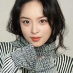 หลี่เฉิงซี (Li Chengxi)