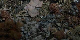 ตอนที่ 8