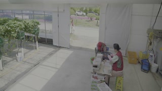 ตอนที่ 4