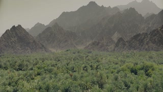 ตอนที่ 11