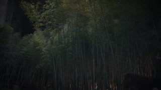 ตอนที่ 32