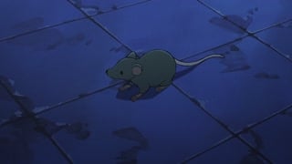 ตอนที่ 17