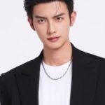 เฉิน เฮ่ย (Chen Heyi)