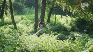 ตอนที่ 27