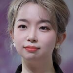 เหอเหวินเซียว (He Wenxiao)