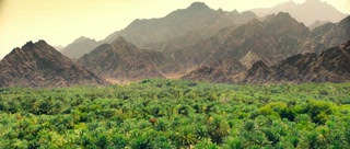 ตอนที่ 11