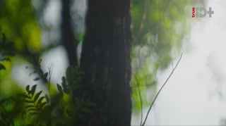 ตอนที่ 4