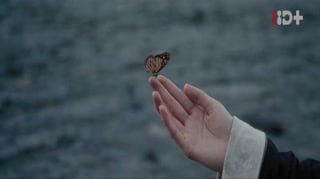 ตอนที่ 22