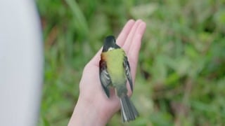 ตอนที่ 9