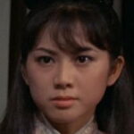 เฉิง เหวินชิง (Cheng Wen-Ching)