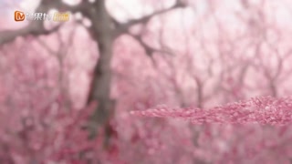 ตอนที่ 13