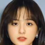 หลี่ เจียฉี (Li Jiaqi)