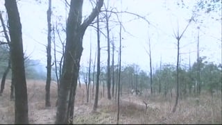 ตอนที่ 4