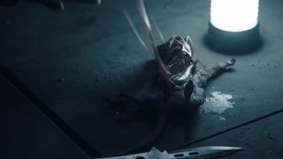 ตอนที่ 2