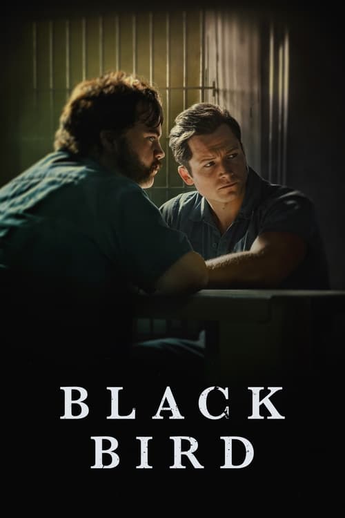 Black Bird (2022) บรรยายไทย