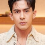 พงษ์สาคร เมตตาริกาโนน (Pongsakorn Mettarikanon)