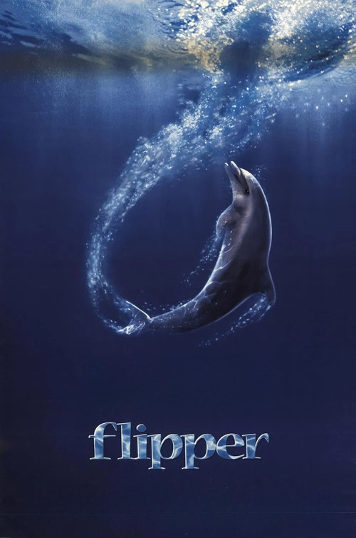 Flipper ฟลิปเปอร์ โลมาน้อยเพื่อนมนุษย์ (1996) บรรยายไทย